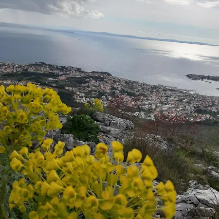 Babic * Podstrana