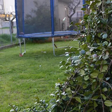 Apartment Babic Podstrana