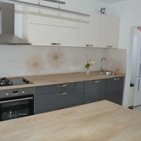Apartment Babic *