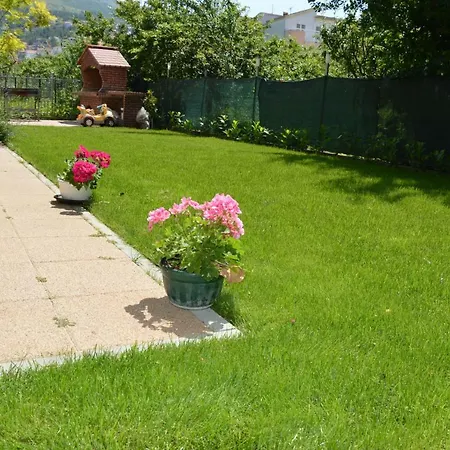 Babic פודסטראנה